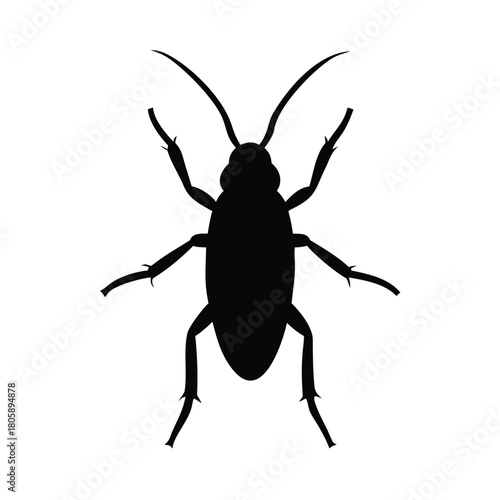 A stark silhouette of an insect with long antennae against a white backdrop image