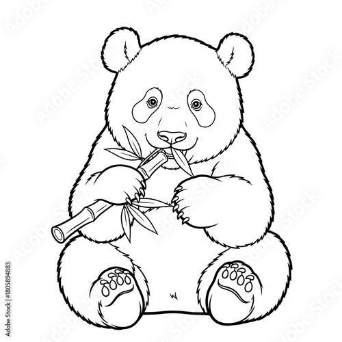 Cute sitting giant panda bear eating a bamboo shoot. Black and white outline drawing.