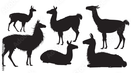 Llama silhouette set Vector