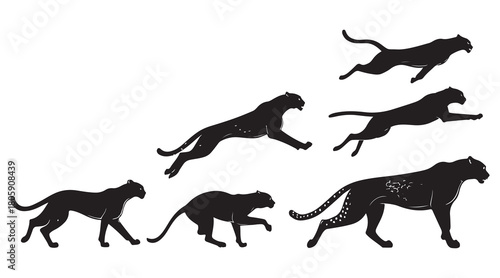 Panther silhouettes in various running poses Vector
