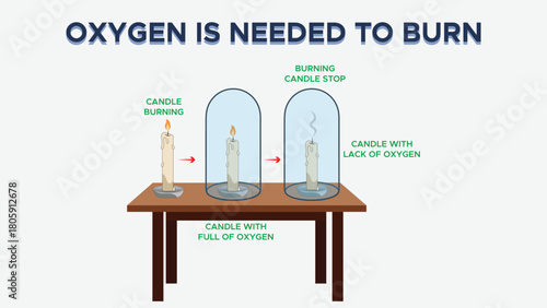 Oxygen Is Needed to Burn Basic Science Illustration