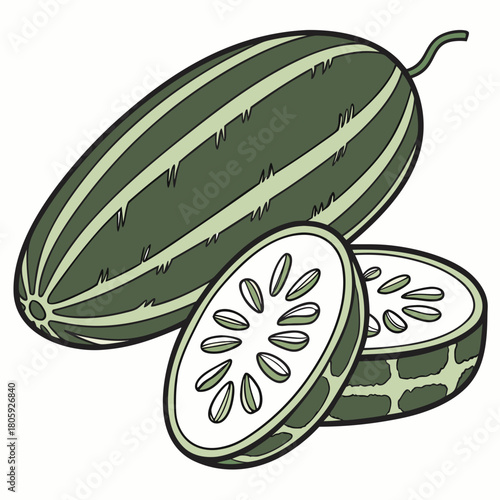Illustration of a whole cucumber and two slices isolated on the cucumber is green and the slices show the seeds inside