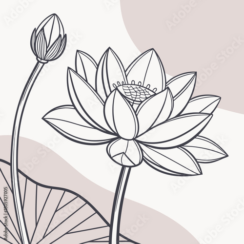 Elegant lotus flower illustration on a soft background, showcasing the beauty of nature with a minimalist design and isolated on