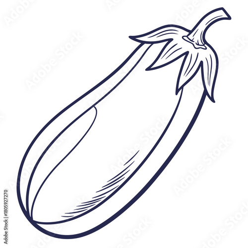 Illustration of an eggplant with a simple outline, showcasing its smooth, elongated shape and distinctive calyx, isolated on