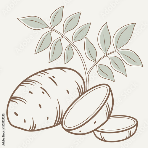 Illustration of a potato with leaves, showcasing its natural growth and freshness isolated on perfect for culinary or agricultural themes