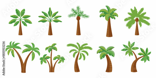 Collection of ten diverse cartoon palm trees with green leaves and brown trunks on a white background