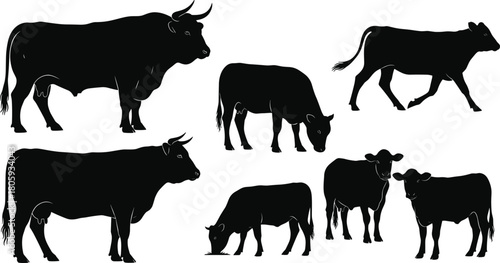 Cow and bull silhouette vector set, farm animal collection, grazing cattle shapes, agriculture livestock graphics, dairy beef design, isolated illustration icons, calf