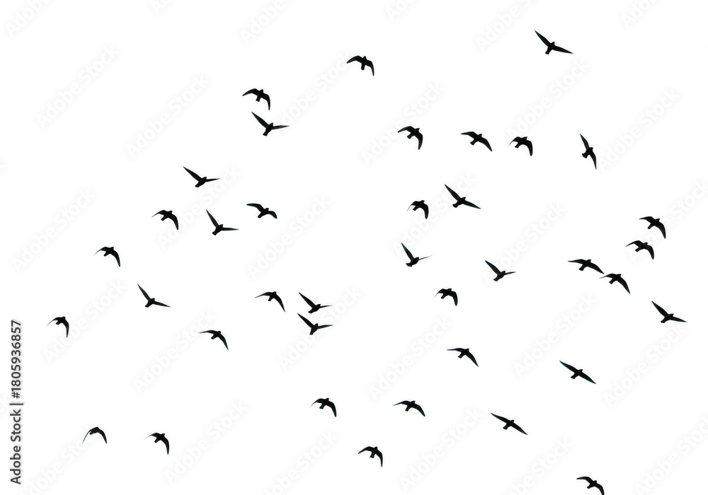 Fototapeta premium Geometric shapes pattern isolated on transparent background