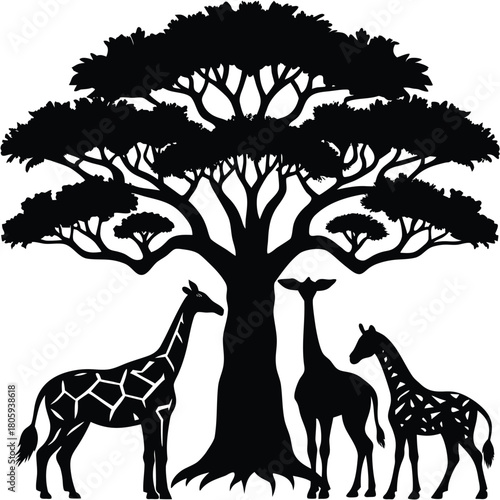 Baobab Tree Silhouette Vector for African Nature, Safari, and Eco Design