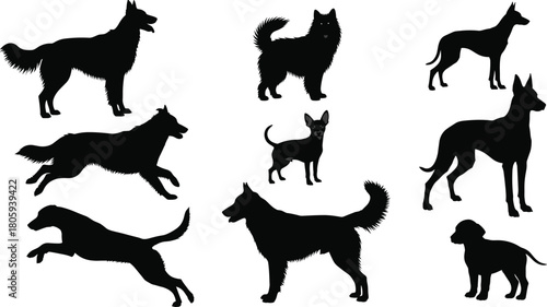 Dog silhouettes set, a vector illustration collection of various breeds, pet animals in different poses, standing, running, and jumping, isolated.