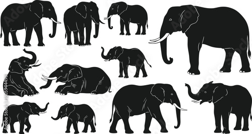 Elephant silhouette collection, vector illustration set of large mammals, African or Asian elephants in various poses, wildlife animal graphics, isolated.