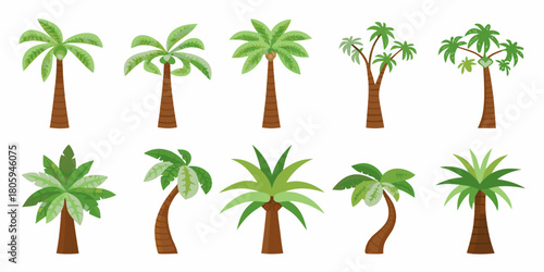 Collection of diverse cartoon palm trees with brown trunks and green leaves on a white background