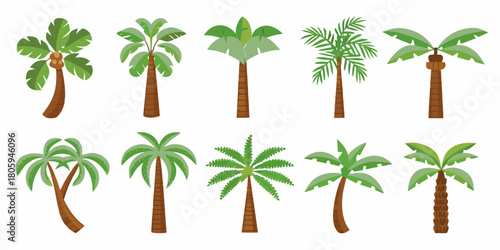 Collection of ten diverse cartoon palm trees in various shapes and sizes on a white background