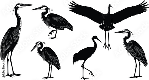 Heron bird silhouette collection, vector illustration set of great blue herons, standing, walking, and flying poses, wildlife graphic elements, isolated.