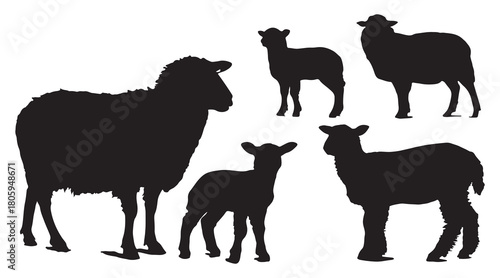 Sheep and lambs silhouettes vector