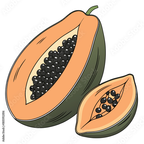 Papaya illustration cut in half, revealing vibrant orange flesh and numerous dark seeds, alongside a smaller section, depicting fresh tropical fruit, healthy eating graphic.