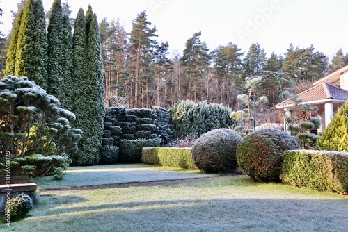 Garden landscape receiving sun during a cold winter morning, with grass, topiaries, and hedges covered in white frost