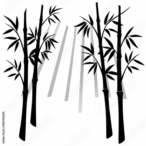 Bamboo stalks with leaves isolated on