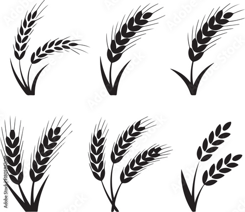 Wheat silhouettes for agricultural designs appeal