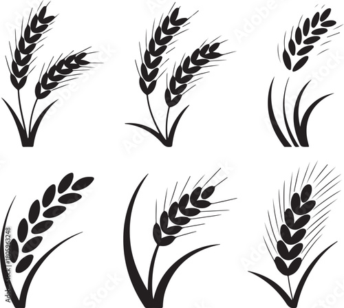 Elegant wheat silhouettes for natural designs