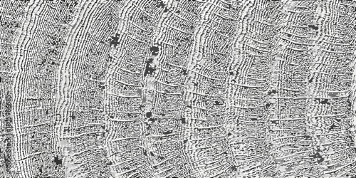 Abstract monochrome textured background with organic wavy lines and intricate patterns