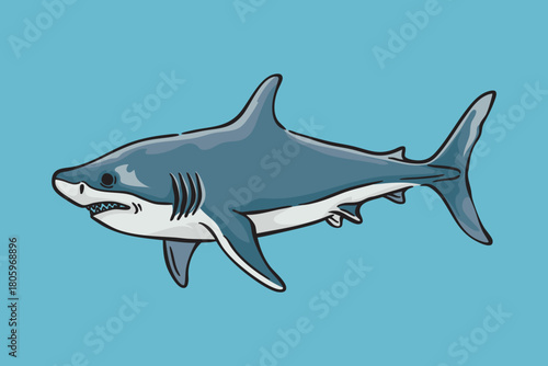 Shark Illustration, Wildlife Animal Line Art Drawing Vector
