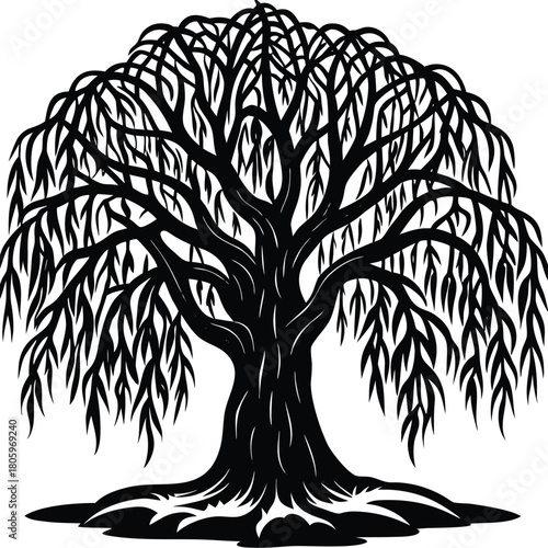 Willow Tree Silhouette Vector for Calm Nature, Meditation, and Poetic Design