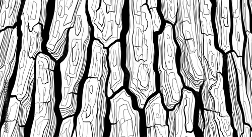Detailed Black and White Tree Bark Texture Background.