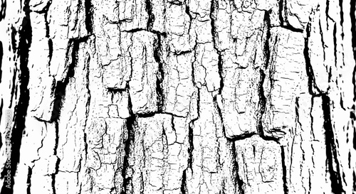 Black and white high contrast tree bark texture.