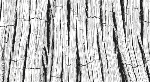 Close up of dry cracked wood texture in black and white.