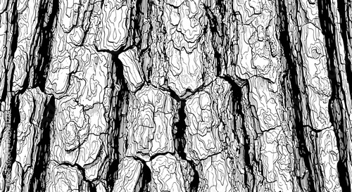 Close up of rough tree bark texture with deep cracks and ridges.