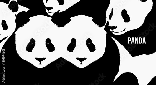 Group of Panda Bear Faces in a Stark Black and White Illustration.
