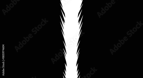 Abstract black and white background with a sharp, jagged white line in the center, creating a striking contrast and dynamic visual effect.