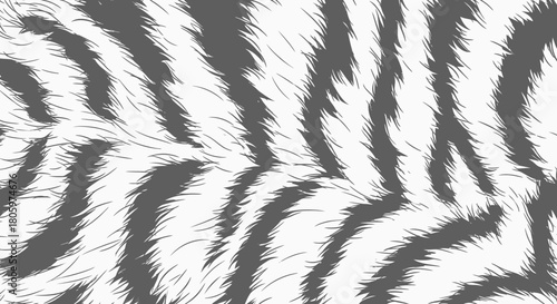 Tiger stripes pattern texture background animal fur.