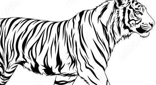 Striking Tiger Illustration with Bold Black Stripes.