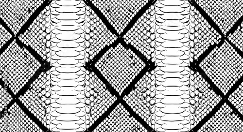 Snake skin pattern texture black and white design.