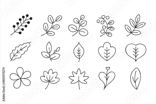 Botanical line leaf icon set with berries, branches, and organic foliage