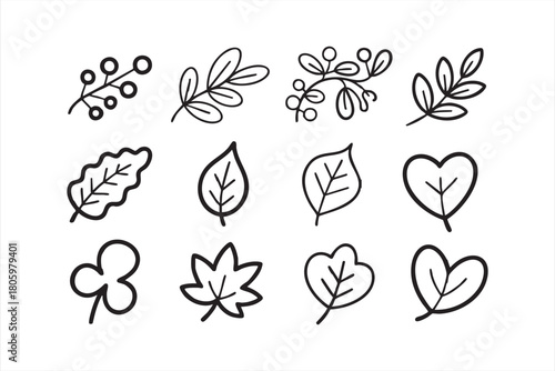 Elegant botanical line drawings ideal for decor, packaging, and stationery