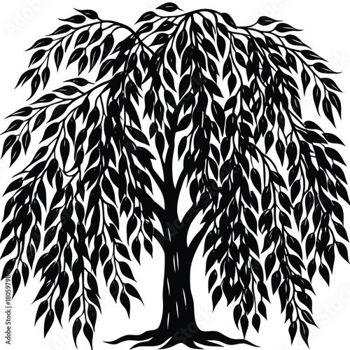 Willow Tree Silhouette Vector for Calm Nature, Meditation, and Poetic Design