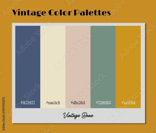 This immersive vintage color palette frames storytelling within warm timeless tones for unique branding.