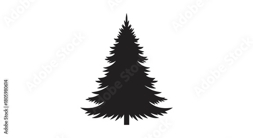 Black silhouette of a tall evergreen pine tree against a white background