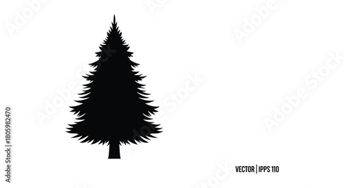 Black silhouette of a tall evergreen pine tree with a white background
