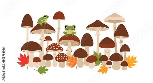 Whimsical illustration of two cute green frogs perched on a cluster of various brown mushrooms surrounded by autumn leaves.