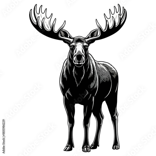 moose hunting logo illsutration vector image t shirt design