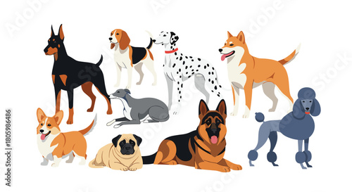 An illustration showcasing a diverse group of domestic dog breeds, featuring various sizes, colors, and fur types, on a white background.