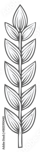 Simple line art illustration of a wheat stalk Minimalist agricultural plant design element