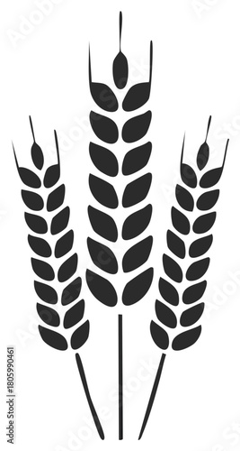 Stylized Wheat Stalks Vector Illustration Ears of Grain Cereal Crop Agriculture Harvest Graphic Element