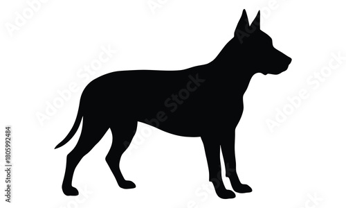 Great dane dog silhouette standing proudly