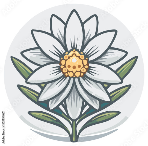 Edelweiss Flower Blossom Icon or Logo Style Design on White Circle for Austria Switzerland Bavaria Alps Symbol