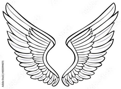 Graphic illustration of stylized symmetrical angel wings with elegant feather details representing freedom